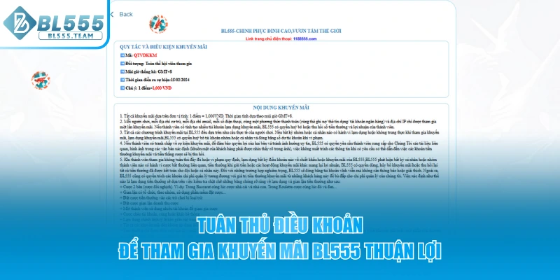 Tuân thủ điều khoản tại BL555